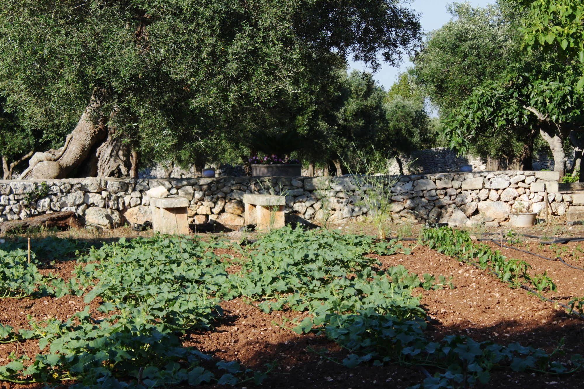 Tenuta Pigliano Hotel Bagnolo del Salento المظهر الخارجي الصورة